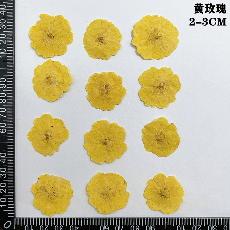 60pcs 누르면 말린 빨간색 노란색 핑크 장미 꽃 식 - Yellow Phone Accessories 리뷰 및 가격