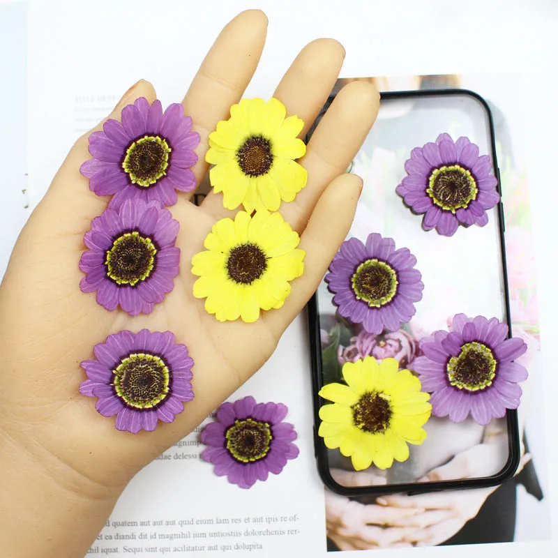 40pcs 프레스 건조 3-5cm 노란색/보라색 Gra - Yellow Phone Accessories 리뷰 및 가격