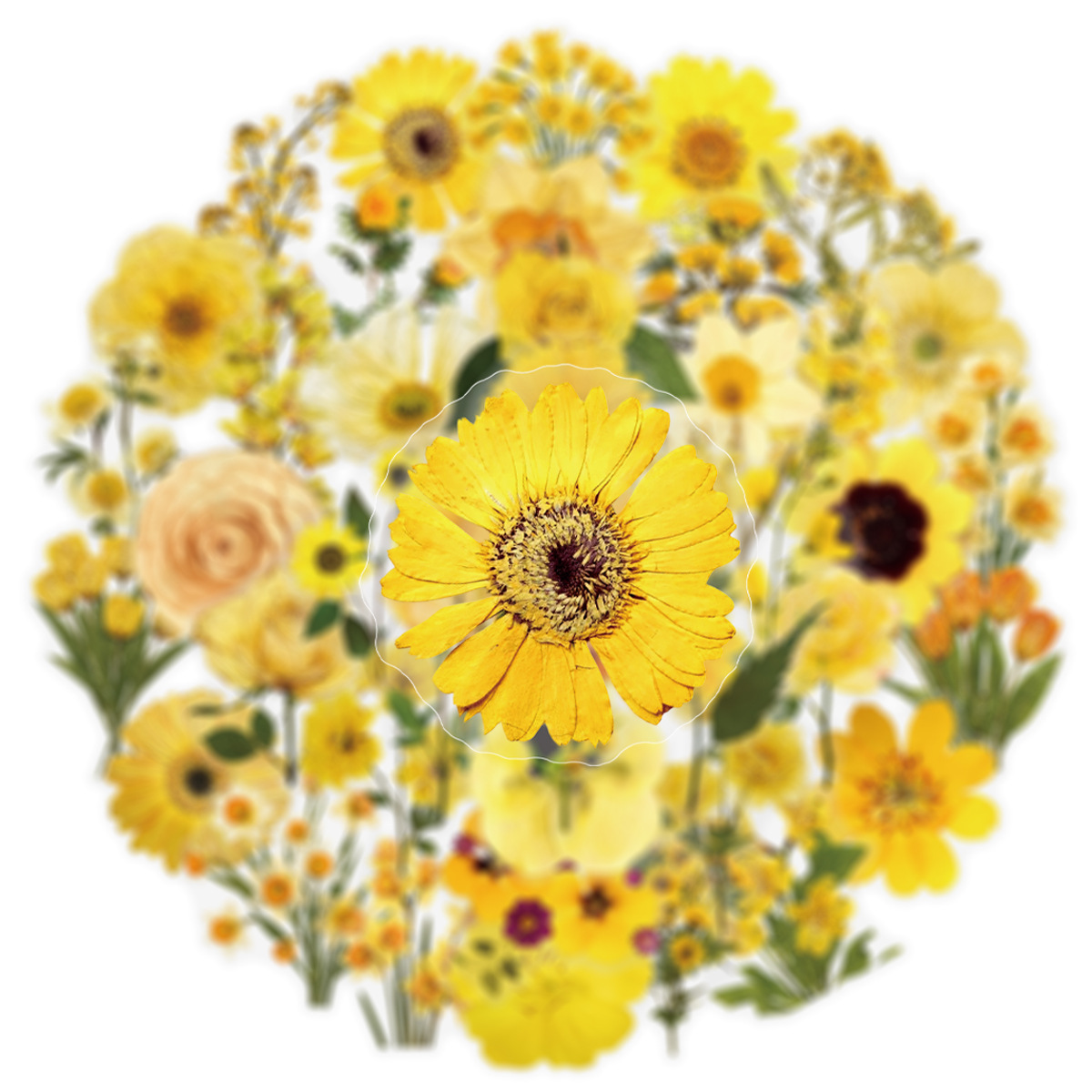 50Pcs 해바라기 투명 노란색 스티커 전화 케이스 노 - Yellow Phone Accessories 리뷰 및 가격